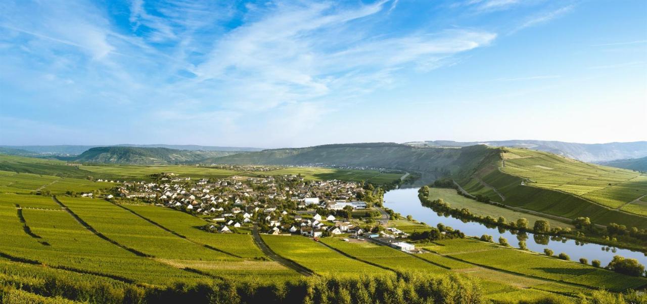 Ferienweingut Ulrike Thul Lejlighed Leiwen Eksteriør billede